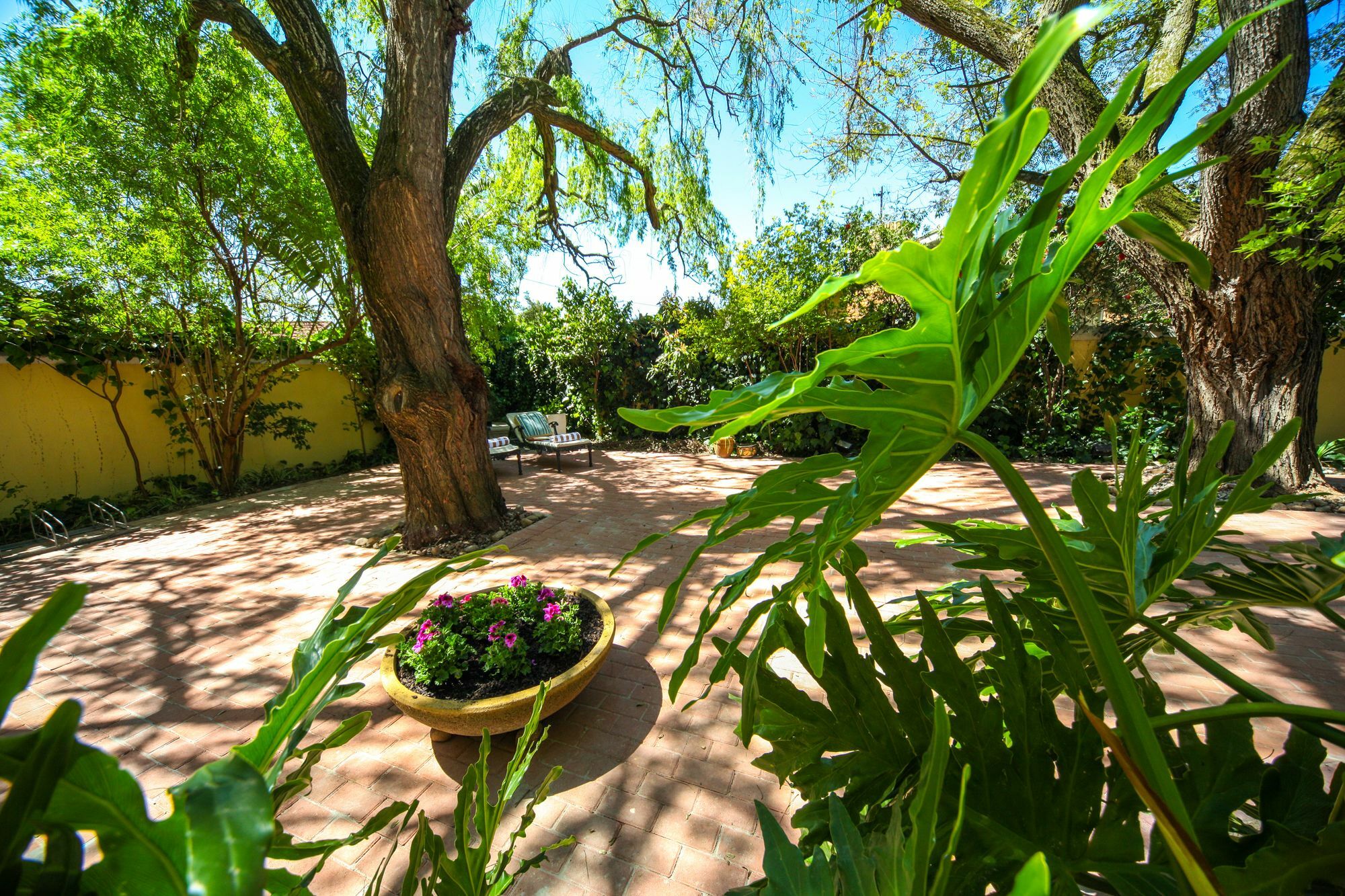 Hunneyball House Stellenbosch Kültér fotó
